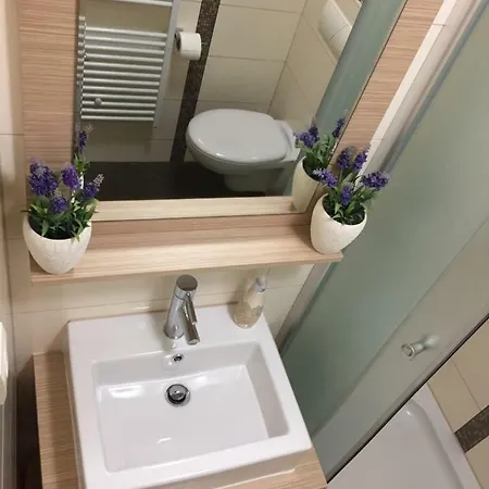 Jani Floor * 흐바르