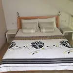 Jani Floor